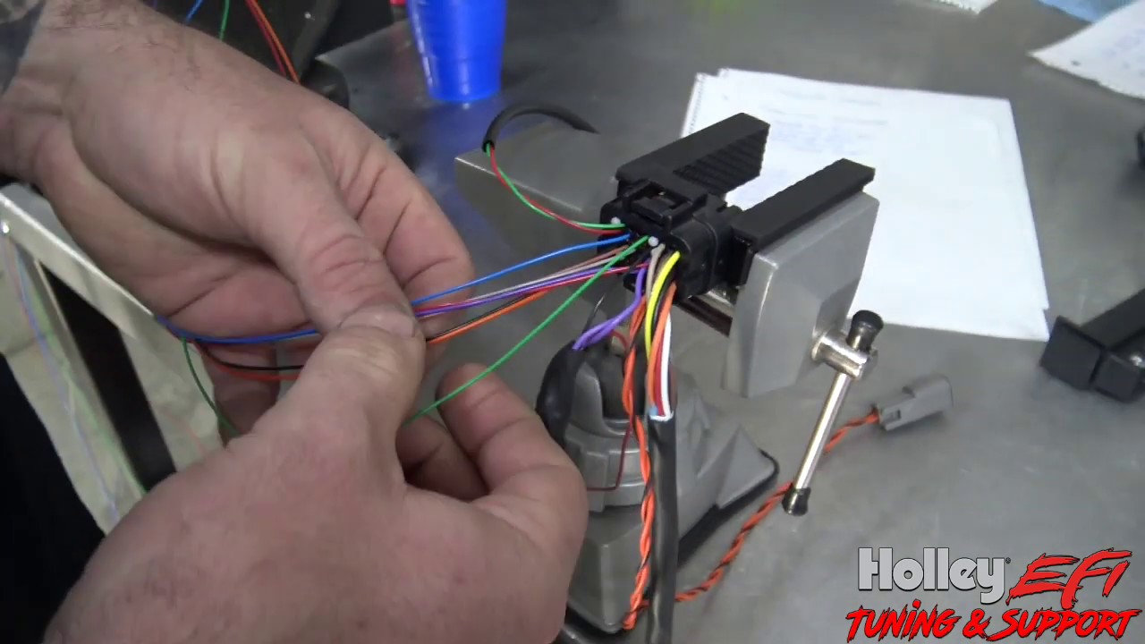 how to build your own holley efi harness