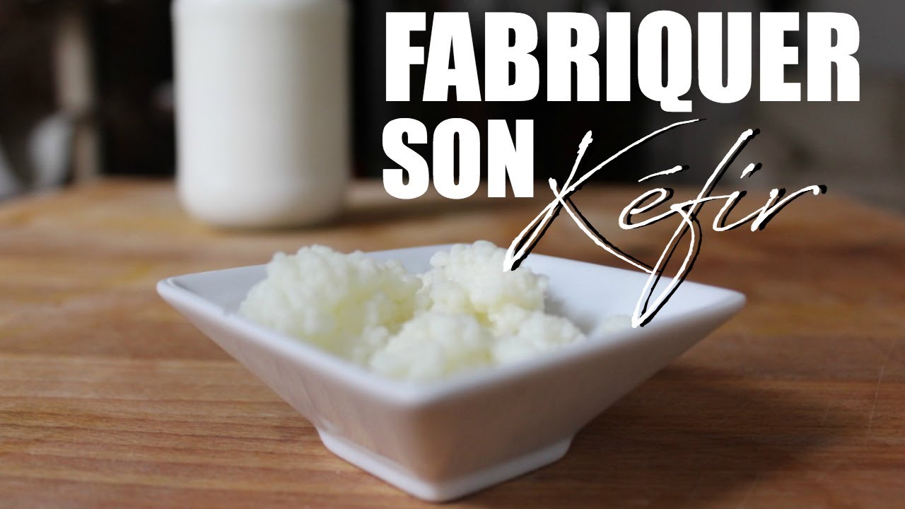 Le Kéfir, super-aliment pour chien & chat | Recette glace au Kéfir !