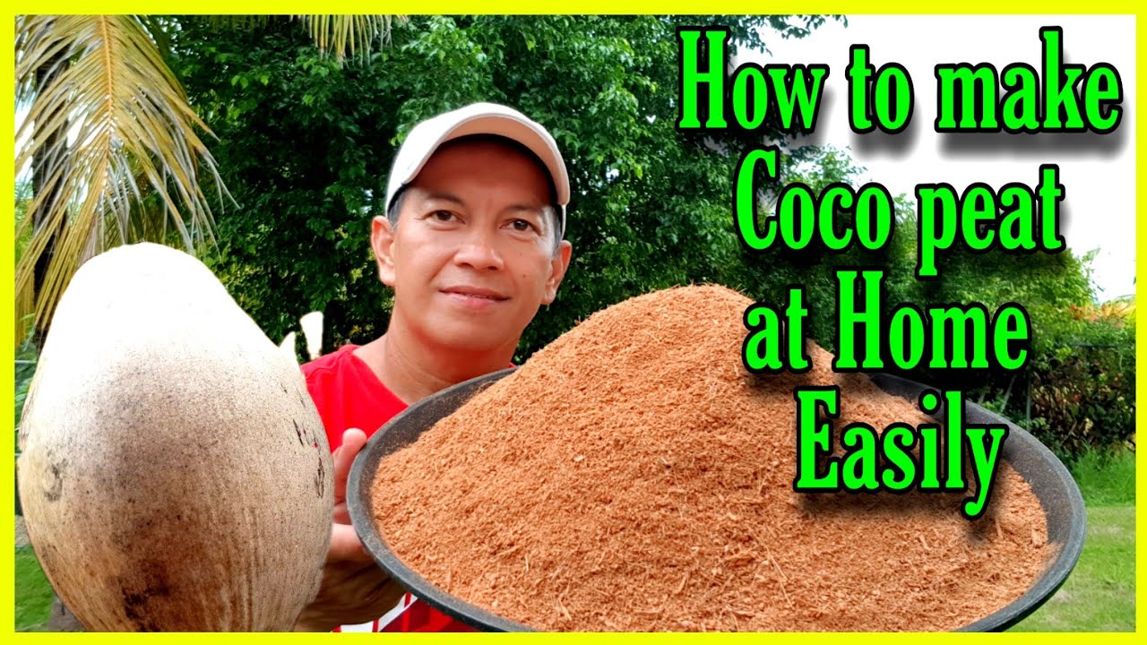 Как легко приготовить кокосовый торф в домашних условиях/Paano ng Coco peat