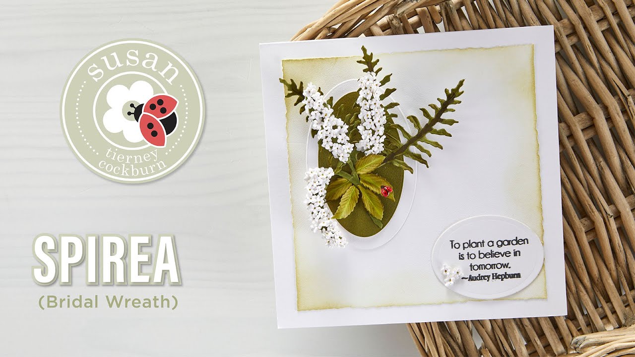 Spellbinders Spirea (Bridal Wreath) from Susan's Spring Flora by Susan Tierney-Cockburn How-To