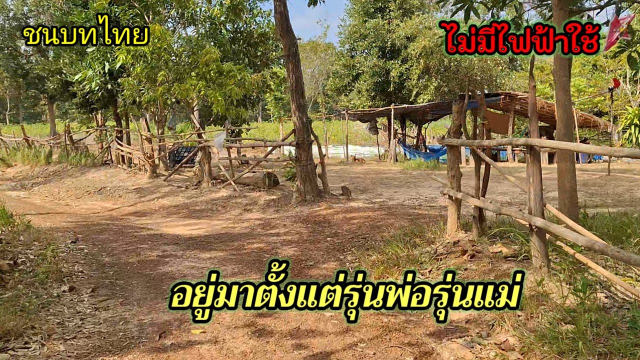 ไม่มีไฟฟ้า‼️ไม่มีน้ำประปา‼️อยู่มานานตั้งแต่รุ่นพ่อรุ่นแม่แล้ว บรรยากาศดีน่าอยู่มาก #ชนบทไทย