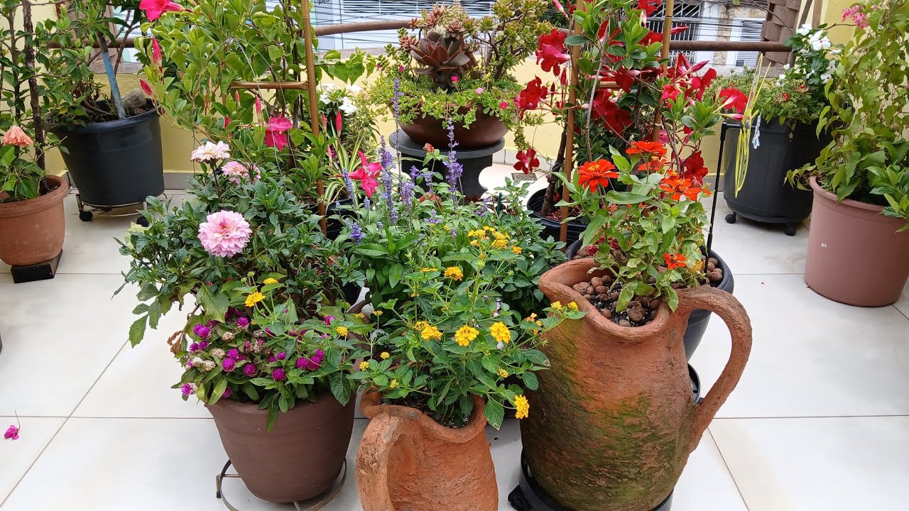  JARDIM DAS FLORES COM NOVA PINTURA  E ATUALIZAÇÃO DAS FLORES
