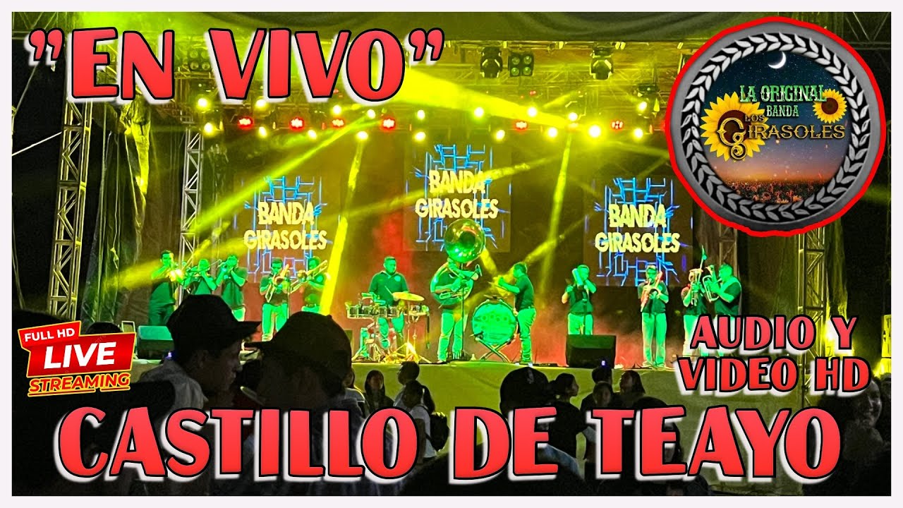 Banda Girasoles 