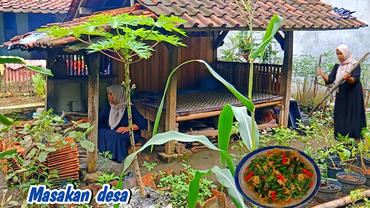 Hidup di Desa | Masak Tumis Kacang Panjang + Telur, Sambal Goreng, Lalapan