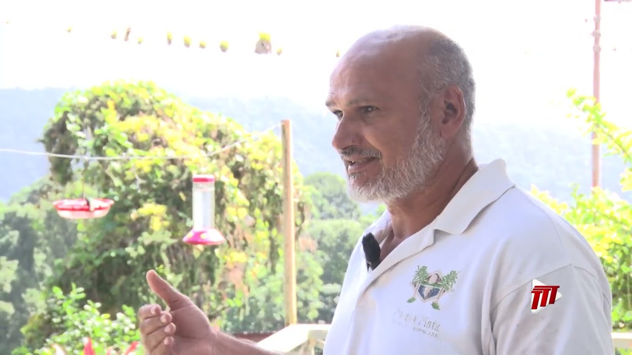 Прямо здесь — заповедник колибри «Высоты Арипо».