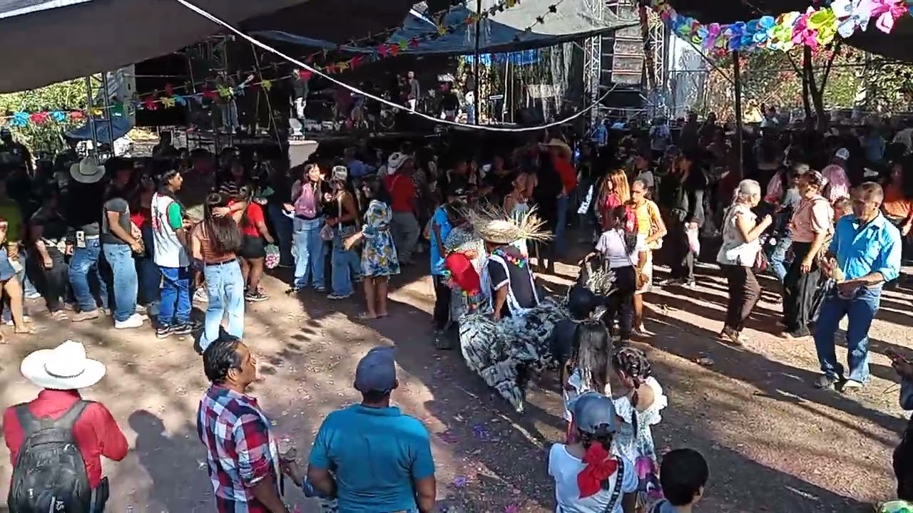Carnaval en oztocingo de guerrero 