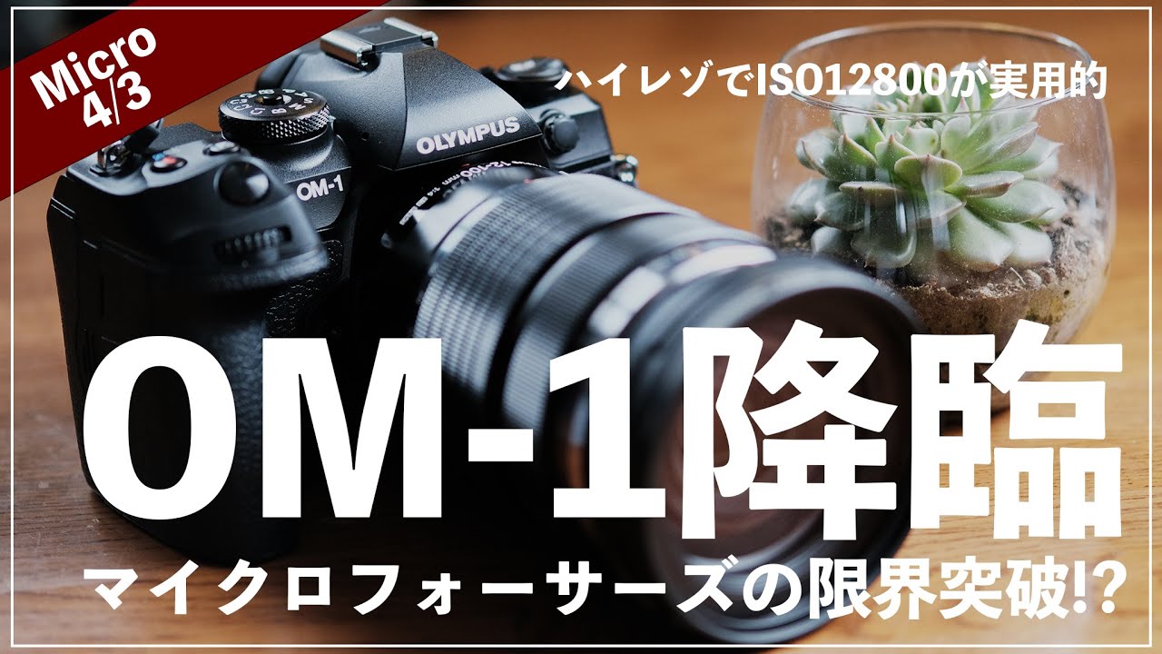OM-1の手持ちハイレゾ、ISO12800に耐えるよ。これ本当にマイクロフォーサーズ？【グリップはEOSR6クラス】