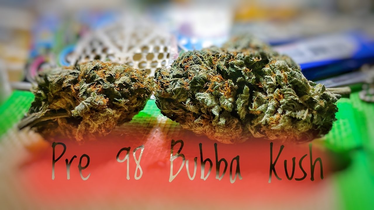 Strain Review - P98 - Pre 98 Bubba Kush - MMJ Total health care