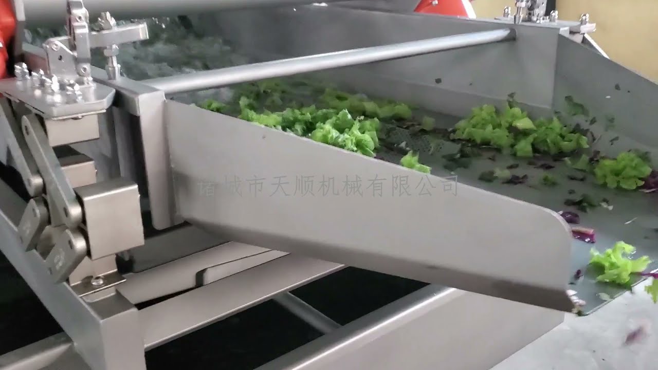 Lettuce salad washing line