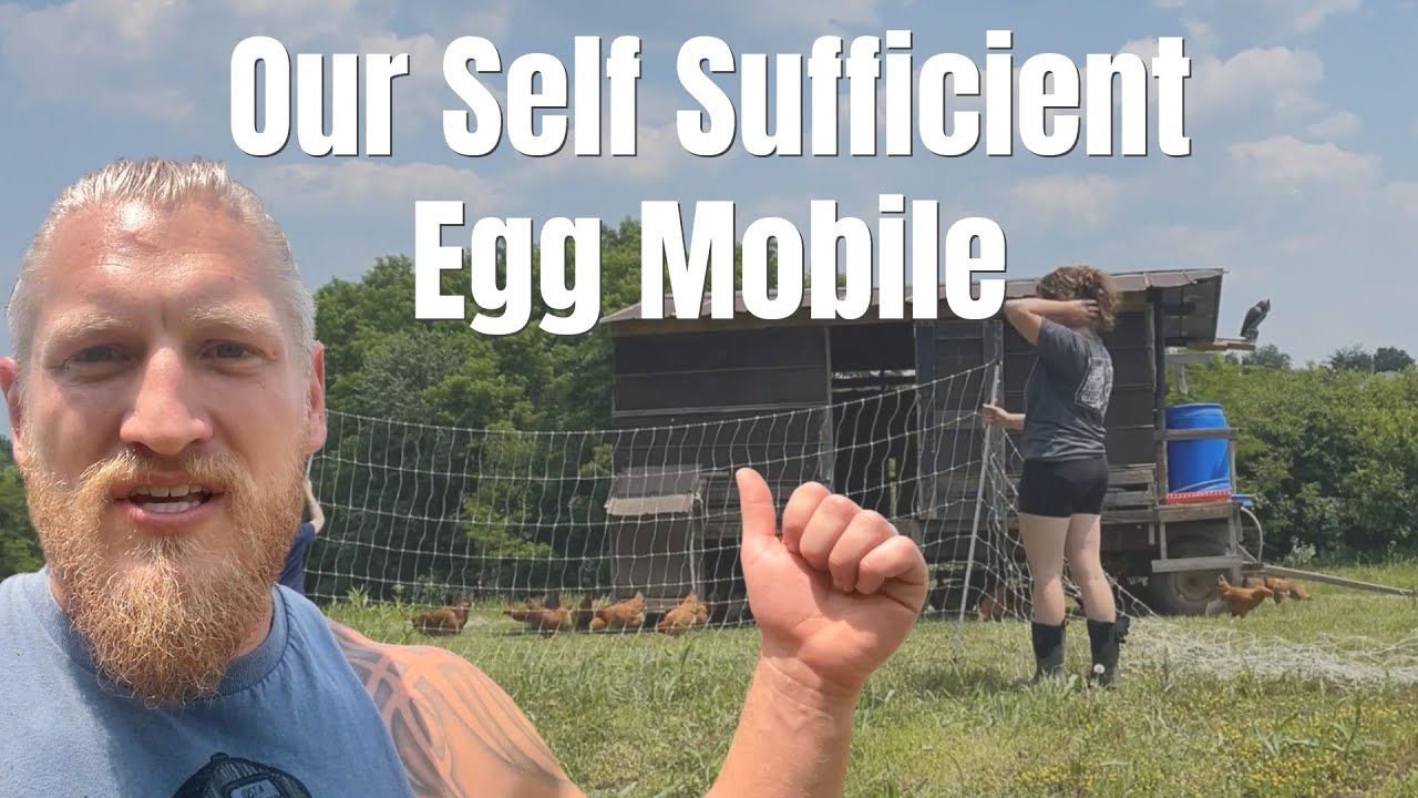 All In One Mobile chicken coop- auto feeder- auto waterer- Rain Collector