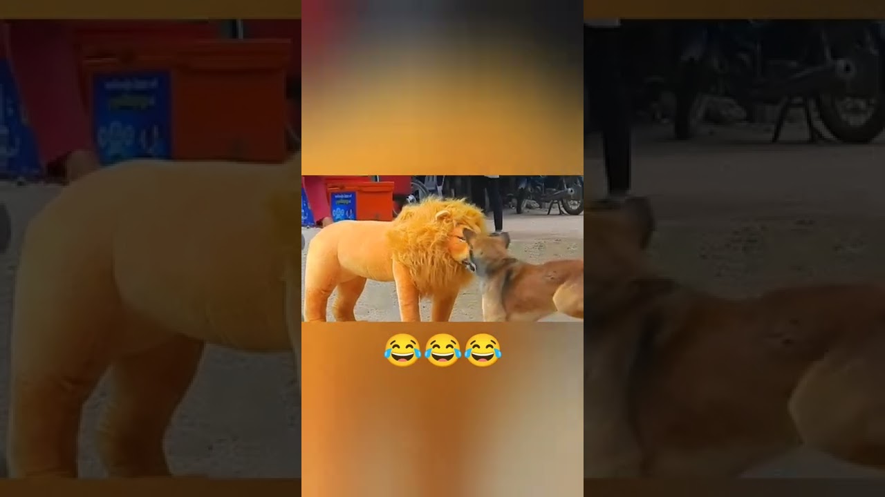 # fake lion #dog pranks videos #asif ytmk