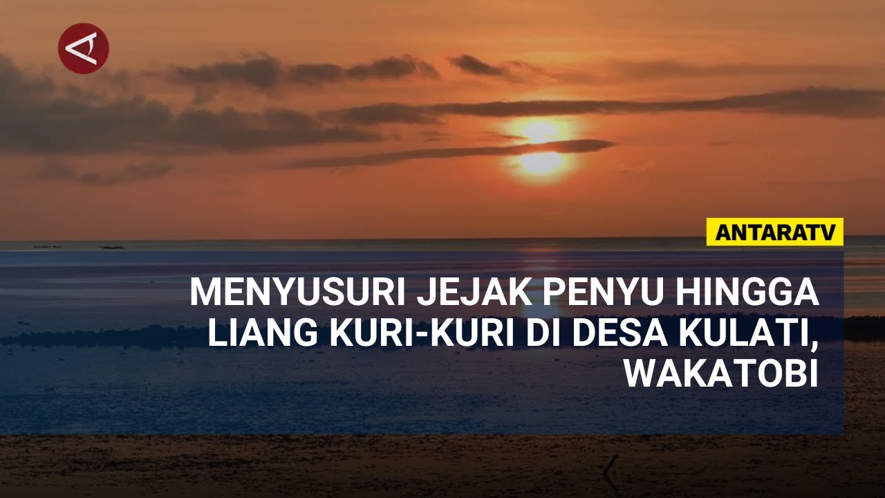 Menyusuri jejak penyu hingga Liang Kuri-Kuri di Desa Kulati, Wakatobi