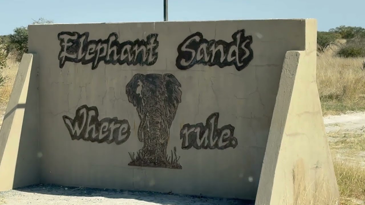 Back Where Elephants Rule | Elephant Sands Adventure