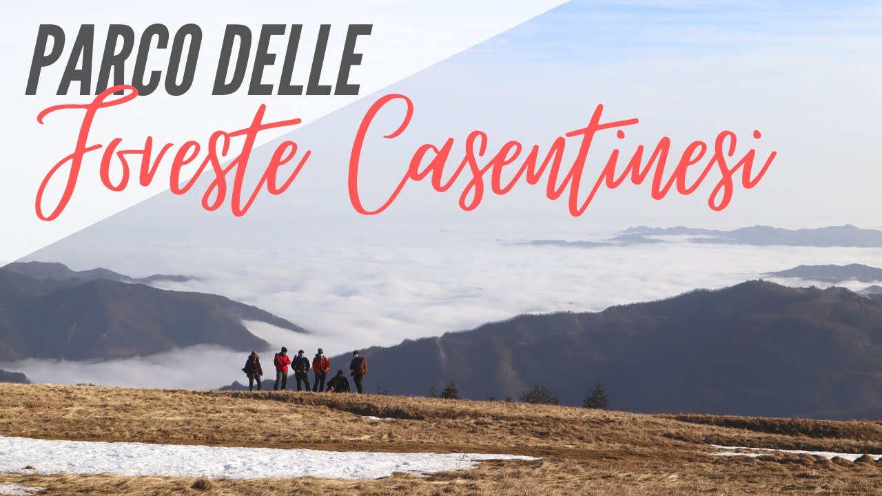 Monte Falco e Monte Falterona - Foreste Casentinesi