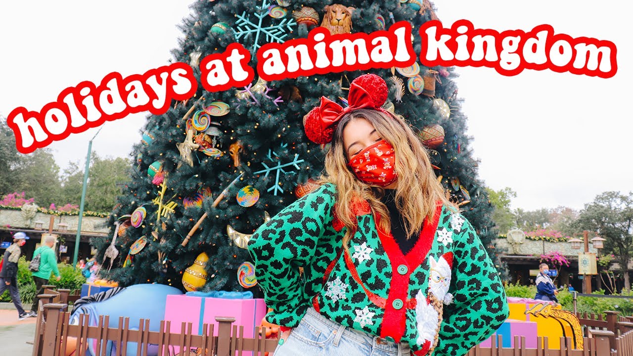holidays at animal kingdom (+ a special cast member event!) 💚