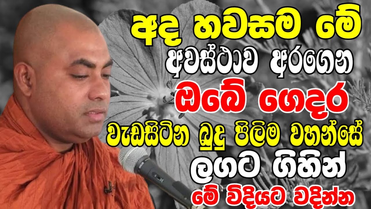 අද හවසම ගෙදර වැඩසිටින බුදුපිලිම වහන්සේ ලගට ගිහින් මෙහෙම වඳින්න | Ven Koralayagama Saranathissa Thero