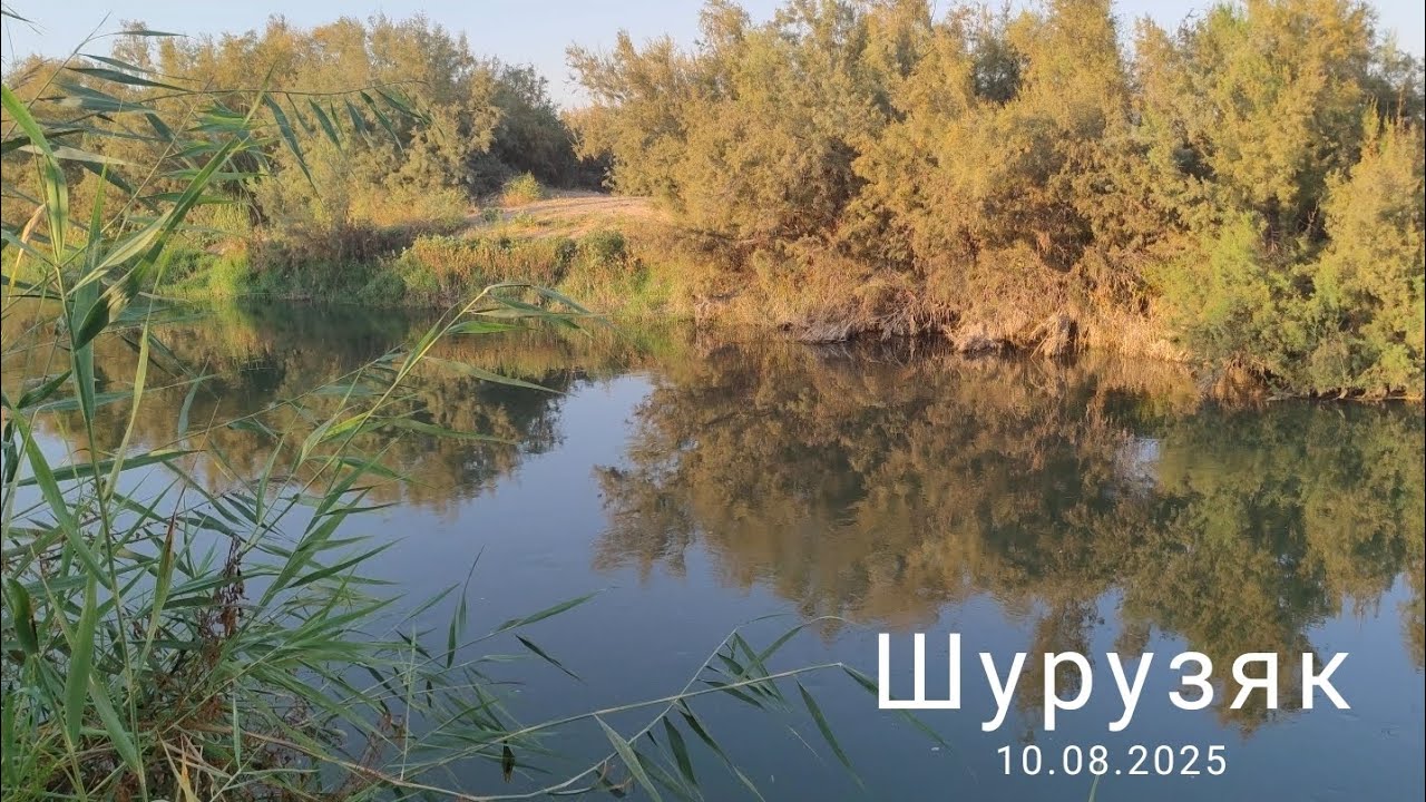 Шурузяк, 10.08.2025г., отдых и рыбалка. 