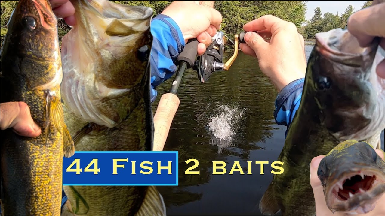 LGmouth, Smallies & Walleye | Бобкейджен, Онтарио (Pigeon L. And Nogies Creek)