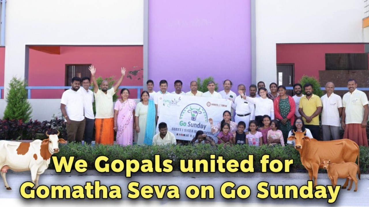 We, the Gopals, proudly performed Gomatha Seva on Go Sunday