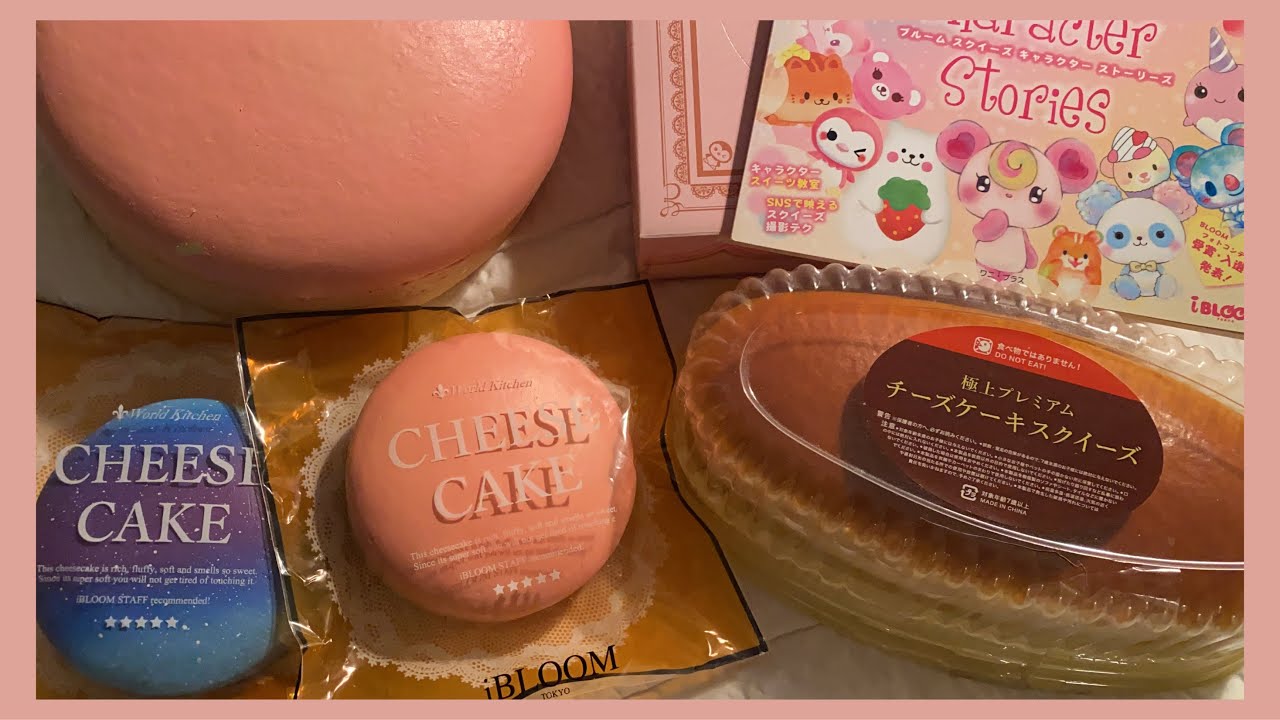 [ 아이블룸 스퀴시 | 치즈케이크 컬랙션 🍰✨] #스퀴시 #스퀴시_소개 #아이블룸
