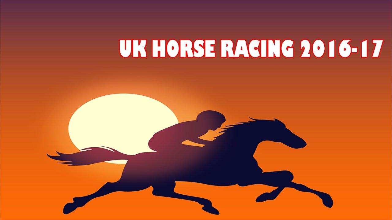 UK Horse Racing 2016-17 | Watch Funny Online