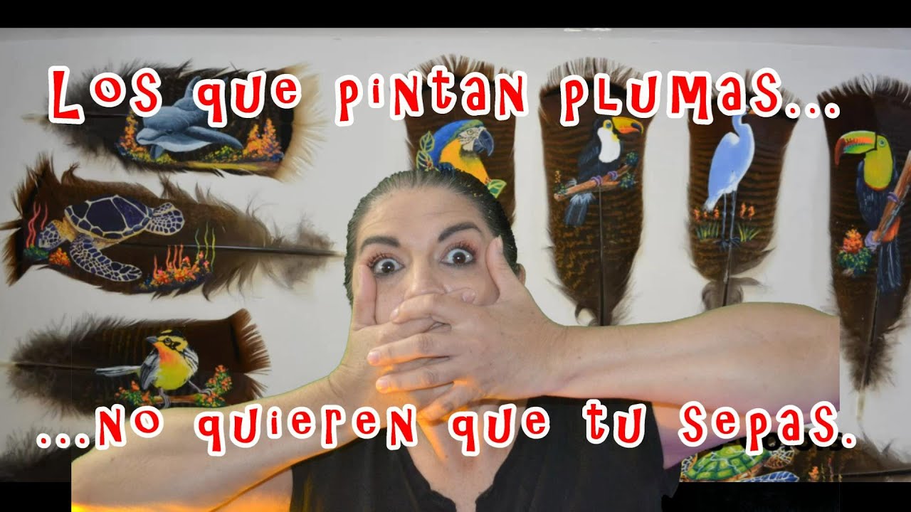MIRA/Como preparar una pluma de ave para usarla como formato.