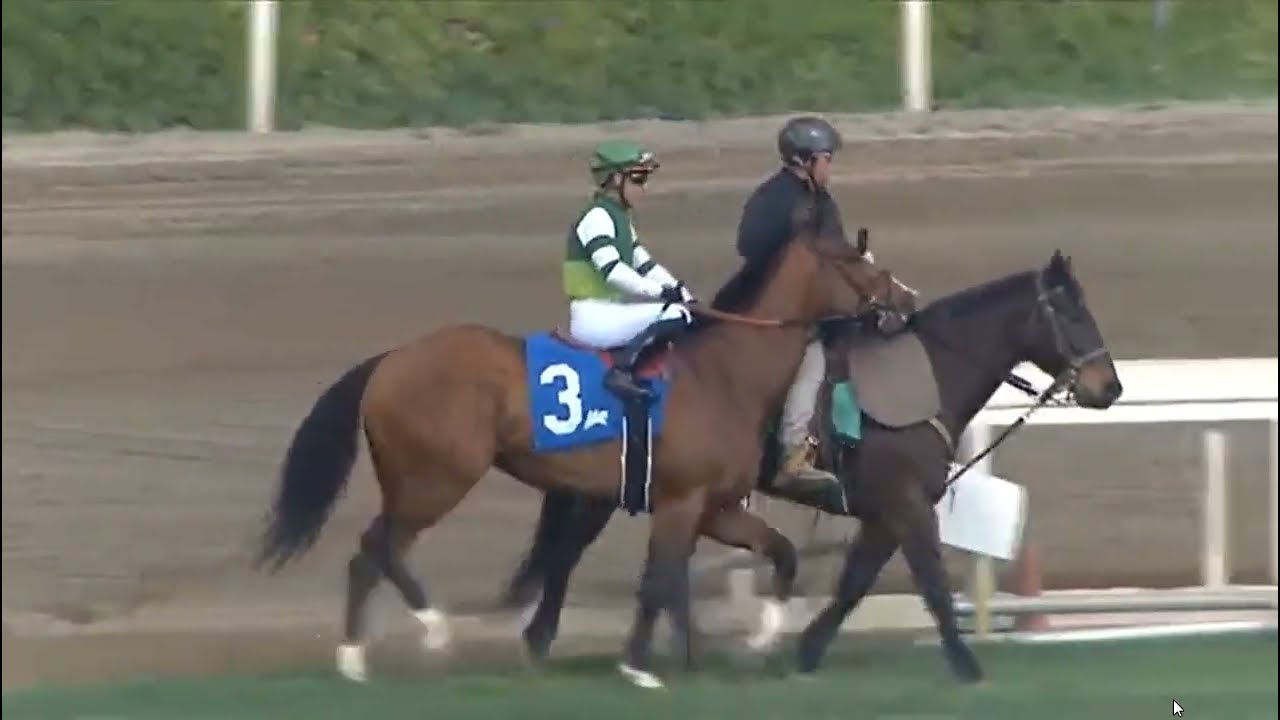 R3 SANTA ANITA USA 24 JAN 2026 TO POST
