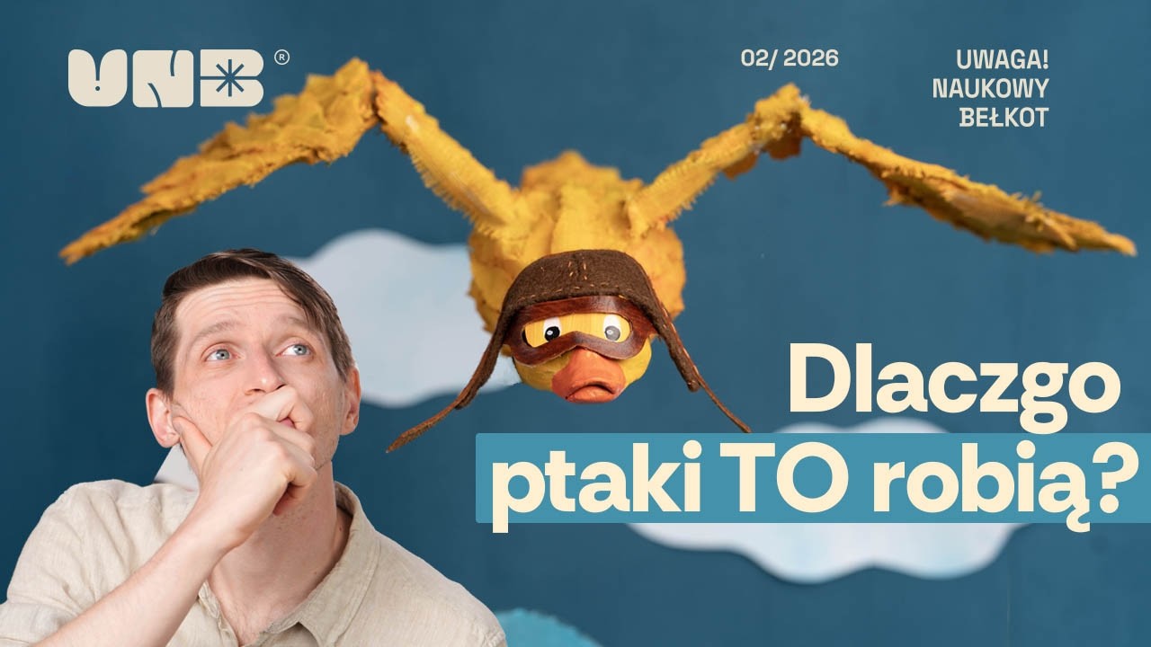 Dlaczego ptaki TO robią?
