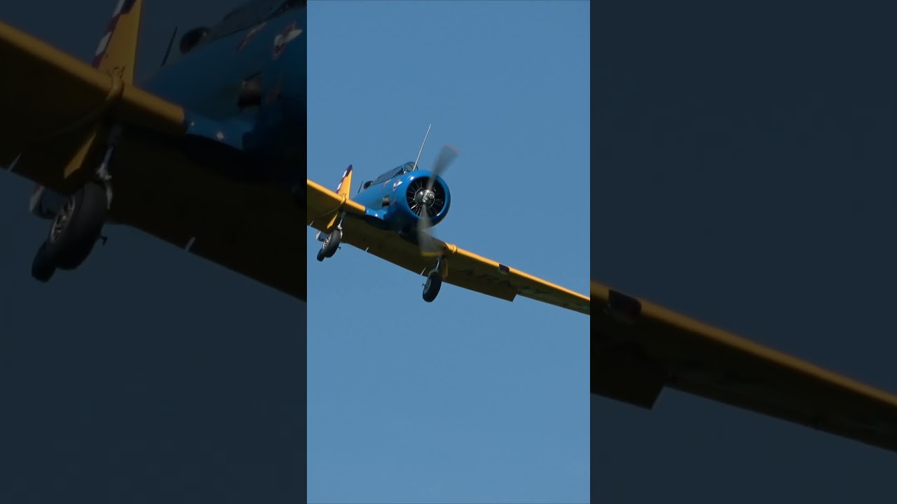 T-6 texan - Close Up Landing #shorts #shortvideo #airshow #warbirds