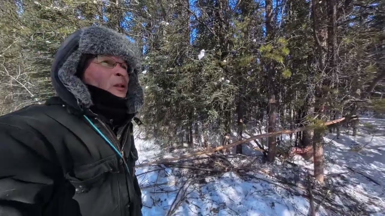 Жизнь в хижине вне цивилизации. День 19.