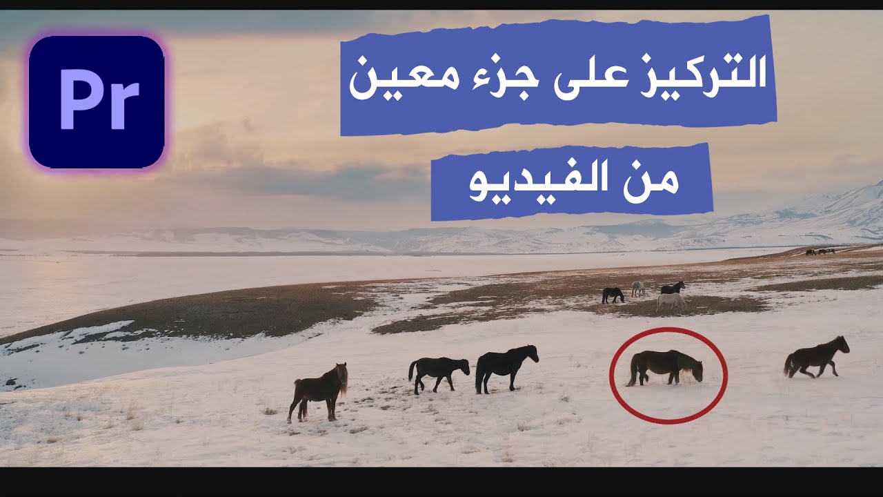 كيفية التركيز على جزء معين من الفيديو باستخدام دائرة حمراء في أدوبي بريمير #بريمير