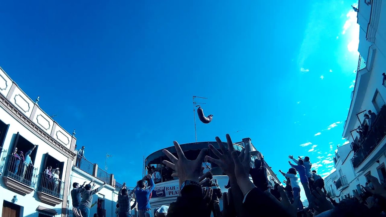 Tirada La Plazoleta. San Antonio Abad. Trigueros 2017.