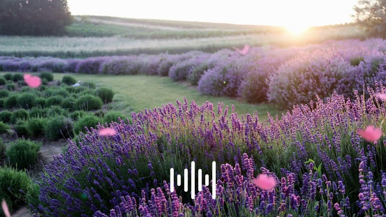korean aesthetic playlist /Enjoy Korean cafe mood music from Seoul/ Study & Relax in Seoul
