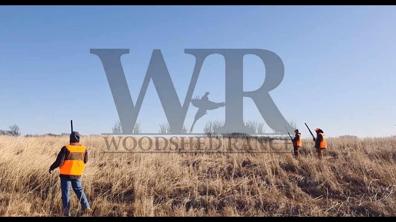 2026 Pheasant @ Woodshed Ranch OK