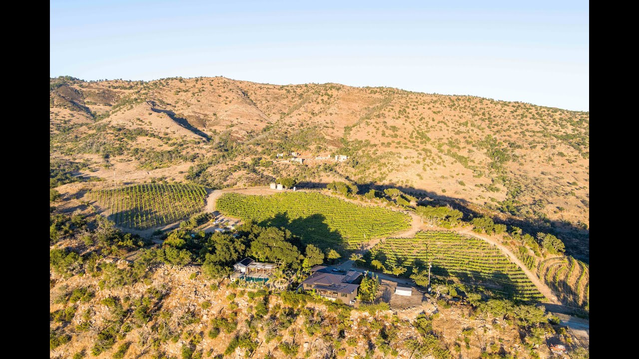 Welcome to Hossfeld Vineyards