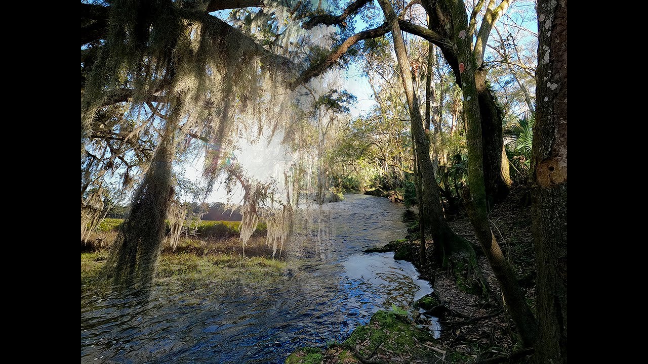 Exploring Blackwater Creek Nature Preserve