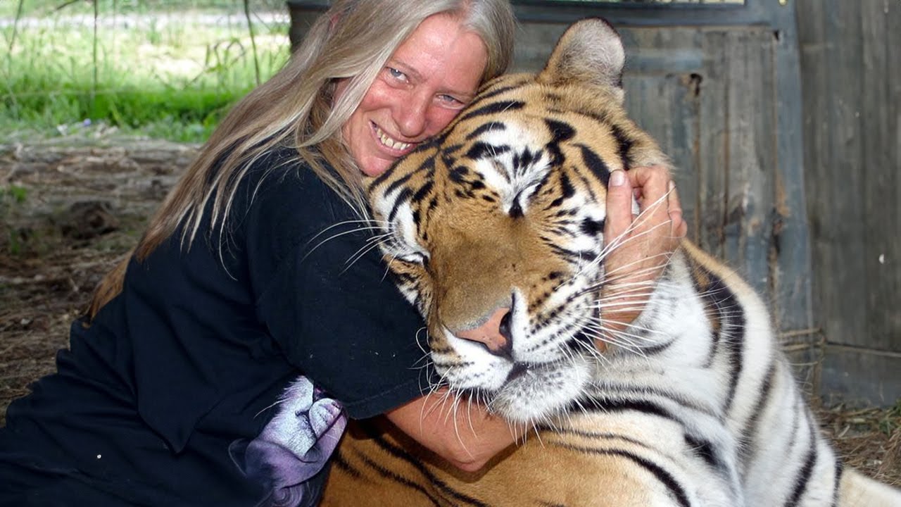 20 Momentos En que Los Animales Muestran Amor A Los Due&ntilde;os 🥰
