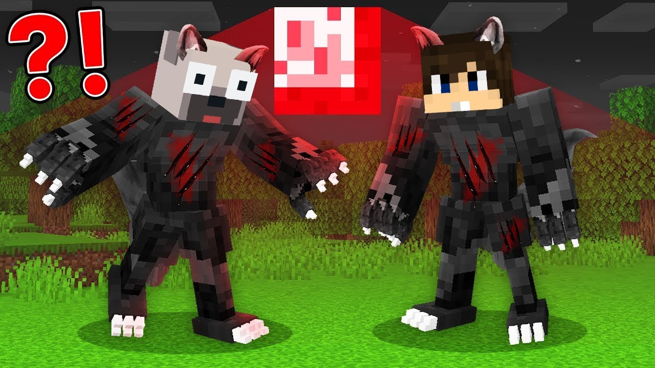 DANI &Eacute;S KIIS V&Eacute;RFARKASS&Aacute; V&Aacute;LTOZOTT A MINECRAFTBAN!