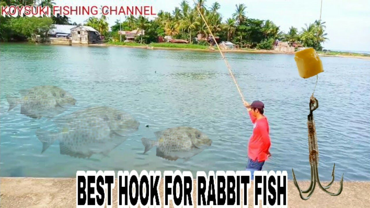 BEST HOOK FOR RABBIT FISH / CATCH RABBIT FISH / TRADITIONAL FISHING