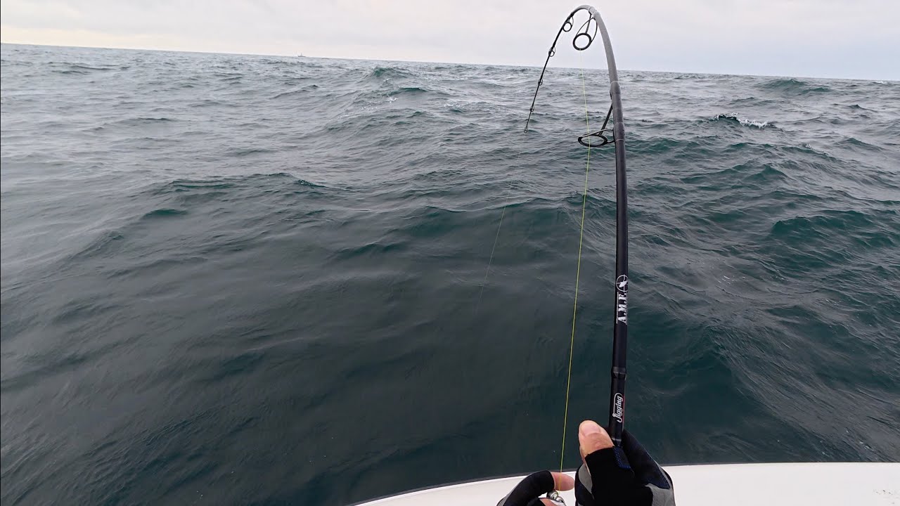 First Jig'n'Pop Tuna Trip of the Season -  Bluefin Catch and Cook