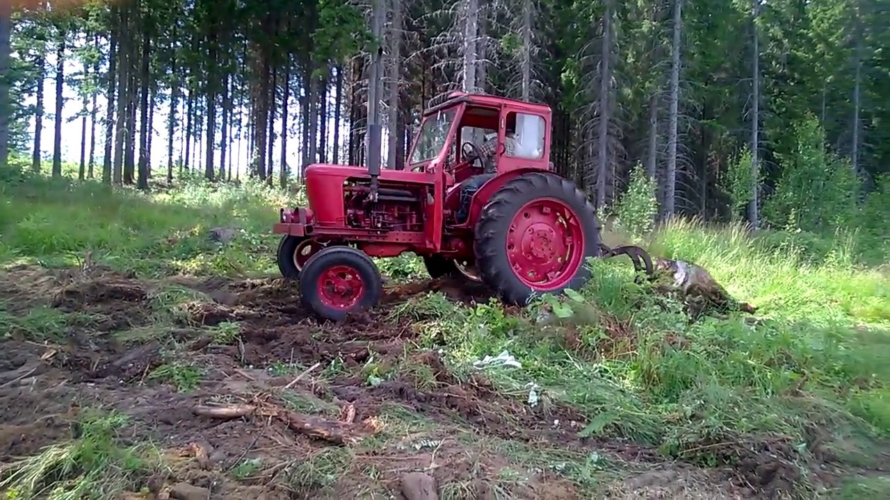 Belarus LTZ-40 🎥 Kannolle 