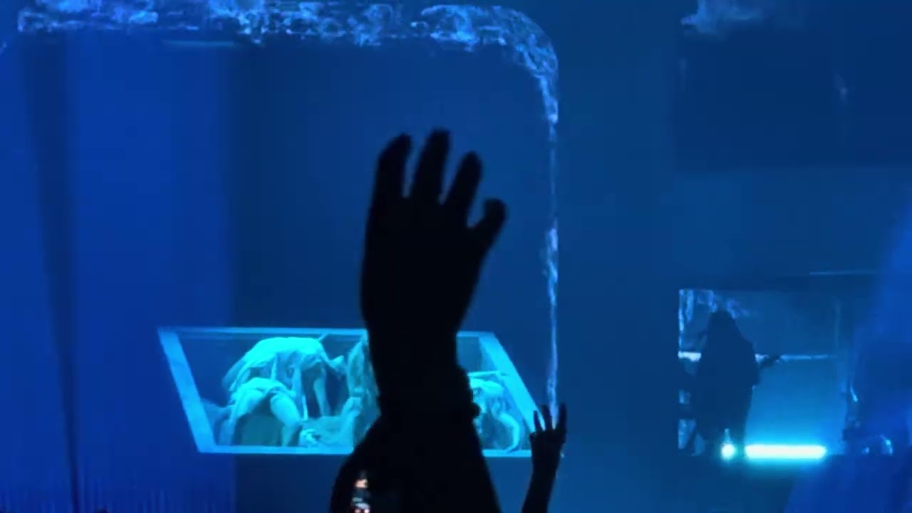 @LadyGaga performing “Perfect Celebrity” & “Disease”