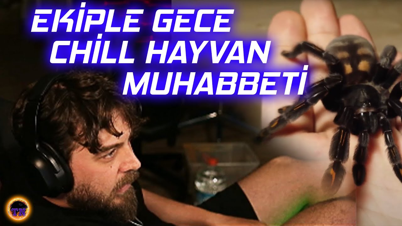 Elraen Ekiple Gece Eski Karınca Çiftliğim Videoları Eşliğinde Chill Muhabbet