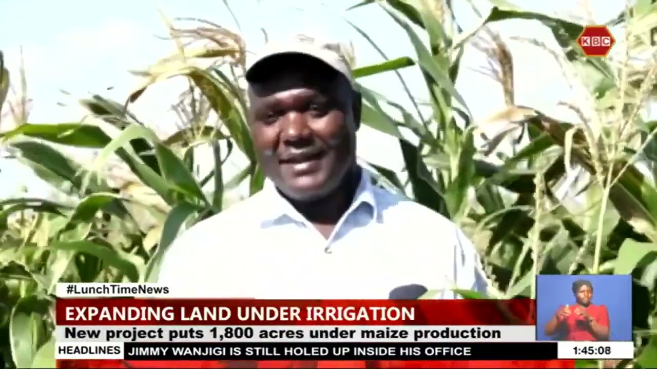 Expansion of Bura and Hola schemes boost farmers