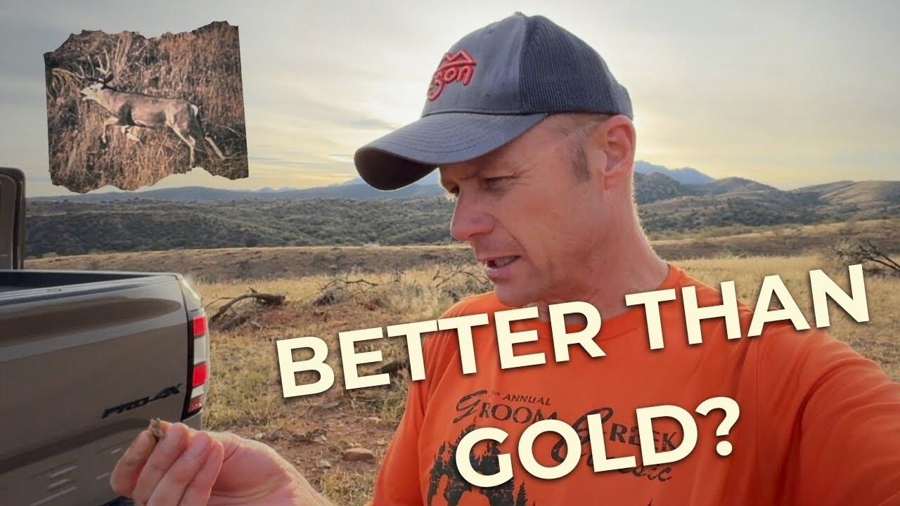 I Went Gold Prospecting... But The Desert Had SURPRISES