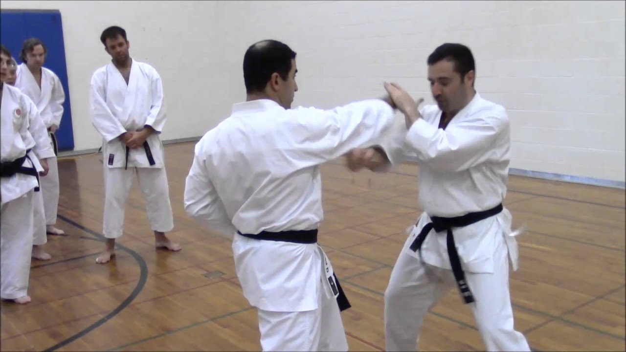 How To Shotokan: Elements of Tekki Sandan