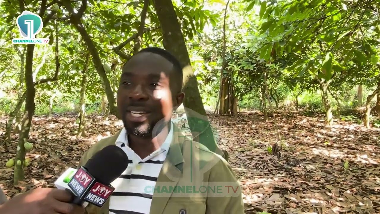 Dennis Miracles Aboagye Urges Government to Focus on Solutions, Not Blame