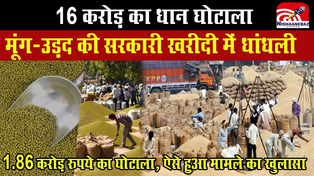 Majitha Godaam Ghotala : 16 करोड़ का Dhan Ghotala, मूंग-उड़द की सरकारी खरीदी में धांधली,1.86 करोड़..