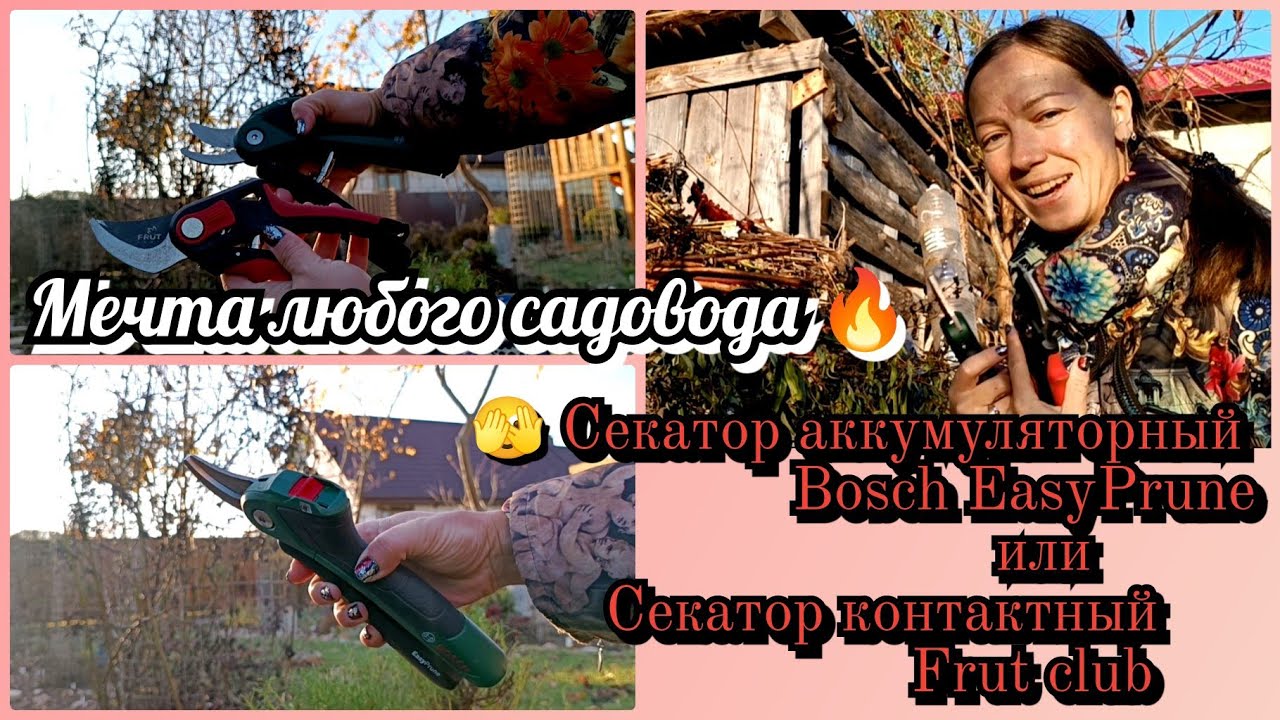 МЕЧТА ОСУЩЕСТВИЛАСЬ🔥🥳💥Аккумуляторный Секатор 🫣 Bosch EasyPrune сравним с Секатором Frut club