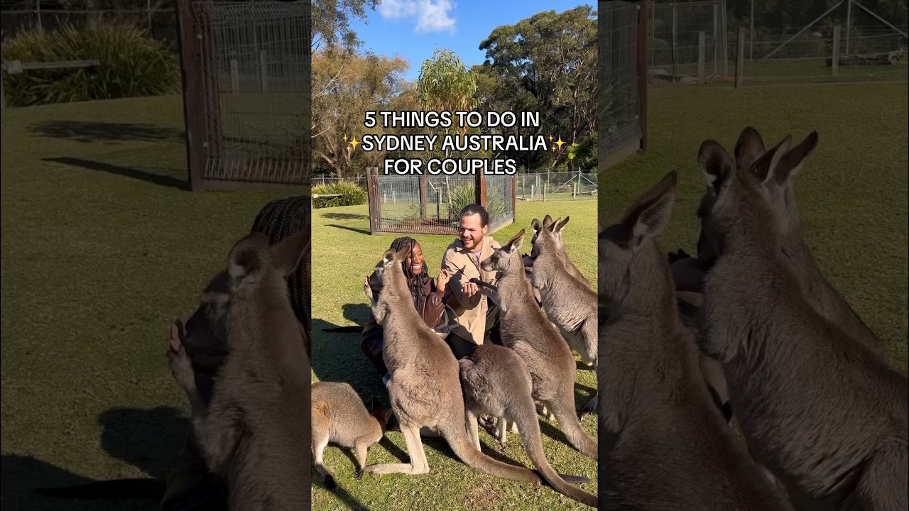 The best things to do in Sydney for couples 🐨☀️❤️ #sydney #australia #travelcouple #travel #couples